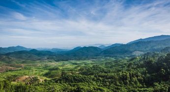 6 Hal Unik tentang Gunung Irau, Permata Pegunungan Titiwangsa Malaysia
